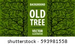 background old tree. green tree ... | Shutterstock .eps vector #593981558