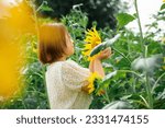 Small photo of Nay Pyi Taw, Myanmar- November 26th 2022- A beautiful girl is smelling the sunflower in the field of sunflower plant.
