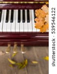 Closeup Of Piano Keys With Oak...