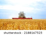 Grain combine harvesters working in wheat field. Agriculture background. Harvest season