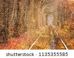Fall Autumn Tunnel Of Love....