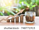 coins money saving setting growth up increase to interest for concept investment fund finance and business