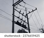 Small photo of Electricity is essential for the survival of every human being, regardless of who they are.