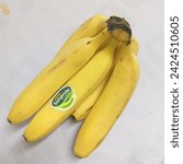 Small photo of Madiun 11 February 2024 Healthy fruit, ripe Cavendish Sunpride banana, ready to consume, yellow, blackish stem, bright white table mat, cold kitchen room lamp, Aston Madiun hotel