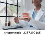 Small photo of Female dentist with dentures for explaining teeth, recommending orthodontic guidelines, dentist consulting patient's symptoms and endodontic treatment. Dental treatment concept.
