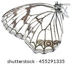 isolated butterfly on white... | Shutterstock . vector #455291335