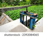 Small photo of The dam's floodgate of river filled with water hyacinth