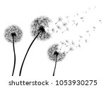 Abstract Dandelions dandelion with flying seeds – stock vector