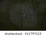 spider web | Shutterstock . vector #411797215
