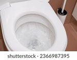 Small photo of flushing water in toilet to demonstrate personal hygiene act, process of flushing water, clean and well-maintained toilet, associated with maintaining cleanliness in bathroom
