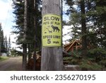 slow down pets at play sign