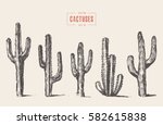 Set Of Cactuses  Hand Drawn...