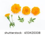 Marigold Flowers So Beautiful...