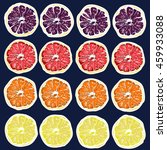 collection of citrus slices  ... | Shutterstock .eps vector #459933088