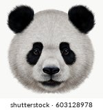 Portrait Of A Panda Bear Wild...