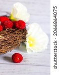 fresh berries of tibetan... | Shutterstock . vector #2066864075