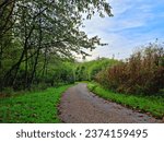 Small photo of One twisty path with a vibrant cloudy blue sky and beautiful green wildlife.
