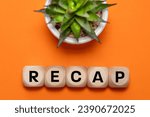 Small photo of Recap symbol, Conceptual word ,Recap, on wooden cubes, Beautiful orange background with succulents, Business concept, Business summary, copy space, flat lay