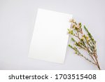 top view mockup blank card  for ... | Shutterstock . vector #1703515408