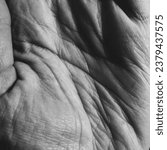 Small photo of A monochromatic close-up of a clenched hand, showcasing skin texture, imprints, and wrinkles.
