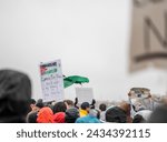 Small photo of Salt Lake City, Utah USA - March 2nd 2024: March to Millions March for Palestine Cease Fire Now, All I want for my Birthday is a Free Palestine Sign Crowd of People Salt Lake City Utah