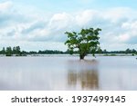 In the monsoon season, flash floods occur in agricultural areas and trees in Southeast Asia.