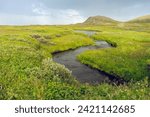 Small photo of A small river running towards the sea between lush green river banks with a rain shover in the background, Finnmark, Northern Norway