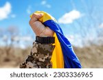 Small photo of Armed Forces of Ukraine. Ukrainian soldier. Military uniform. Ukrainian flag.