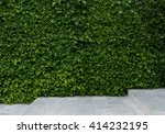 Green Wall For Decoration