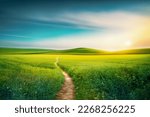 Picturesque winding path through a green grass field in hilly area in morning at dawn against blue sky with clouds. Natural panoramic spring summer landscape.