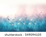Small white flowers on a toned on gentle soft blue and pink background outdoors close-up macro . Spring summer border  template floral background. Light air delicate artistic image, free space.