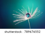 Beautiful water drop on a dandelion flower seed macro in nature. Beautiful deep saturated blue and turquoise background, free space for text. Bright colorful expressive artistic image form.