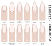 different nail shapes  ... | Shutterstock .eps vector #428240995