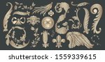 set design element gold... | Shutterstock .eps vector #1559339615