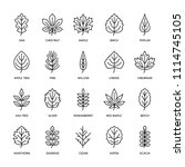 Autumn Leaves Flat Line Icons....