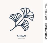 Ginkgo Flat Line Icon. Chinese...