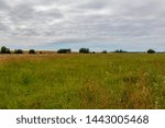 Small photo of Landscape with unwrought flowering meadows and trees in the countryside in the distance. Pasture. Latvia