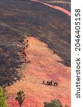 Small photo of San Bernardino, CA â€“ September 22, 2021: Hand crews work to extinguish the â€śUniversity Fireâ€ť on a steep hillside, in brush that is both charred by fire, and reddened from flame retardant.
