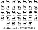 Dog Breeds Silhouette Isolated...