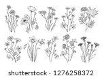 wild flowers. sketch... | Shutterstock .eps vector #1276258372