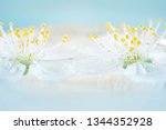 spring blossom  selective focus ... | Shutterstock . vector #1344352928