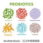 probiotics. good bacteria and... | Shutterstock .eps vector #1119488888