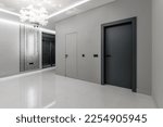 A simple modern gray wall with a black and gray door in an empty room. Interior design element of modern interior design in a modern house.