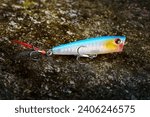 Small photo of Fishing lure wobbler on a wet stone with moss
