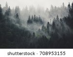 Misty Landscape With Fir Forest ...