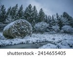 Small photo of Round straw bales rolled in the field, winter scenery, snow grass, bales covered with snow, Bale rolls of hay rotting on field covered with snow in winter
