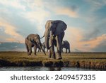 Majestic African Elephant in Chobe National Park, Botswana safari Africa wildlife