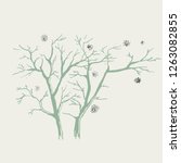 trunks of bare trees. graphic... | Shutterstock .eps vector #1263082855