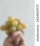 Small photo of Blurred image of A man's hand holds a bunch of grapes that are starting to rot with slightly blackish skin. on a white background