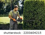 Man worker cutting bushes with...